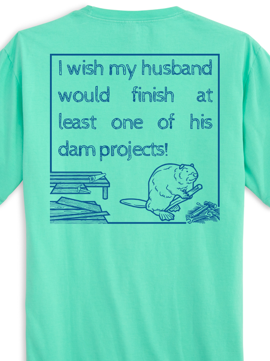 Dam projects -Turquoise